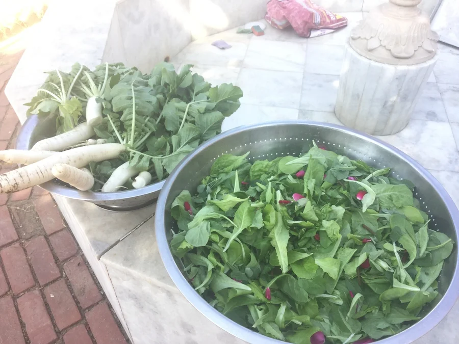 A selection of our winter vegetables